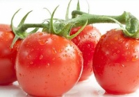 圣女果是转基因蔬菜 5个被误解的营养食物