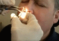 �����������������ͱ�ʺҕ�l ���ӕ���������(GIF�D)