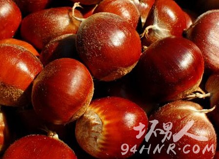 Çï¼¾¶à³ÔÀõ×Ó¶ÔÈËÌåÓÐ×ÅÉñÆæµÄÑøÉú¹¦Ð§ ²»½öÑø·¢»¹²¹Éö