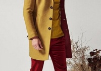 ʱӢƦ5״´Ƽ  ӢƦôÿ