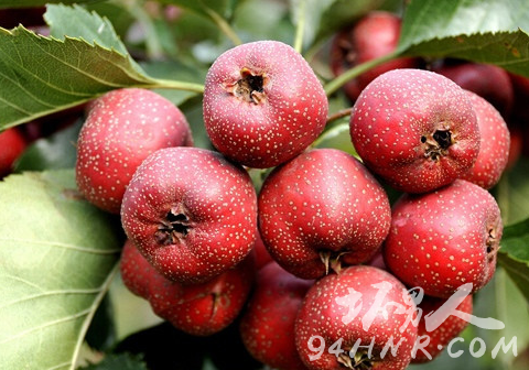 ����������ô�k ����������ʲô�� ��ʲô�|������������