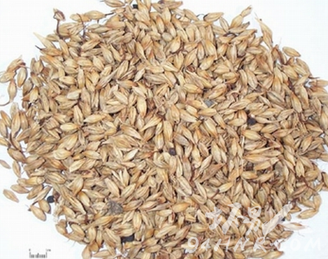 ����������ô�k ����������ʲô�� ��ʲô�|������������