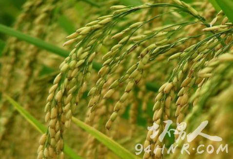 ����������ô�k ����������ʲô�� ��ʲô�|������������