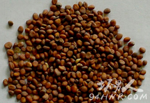 ����������ô�k ����������ʲô�� ��ʲô�|������������