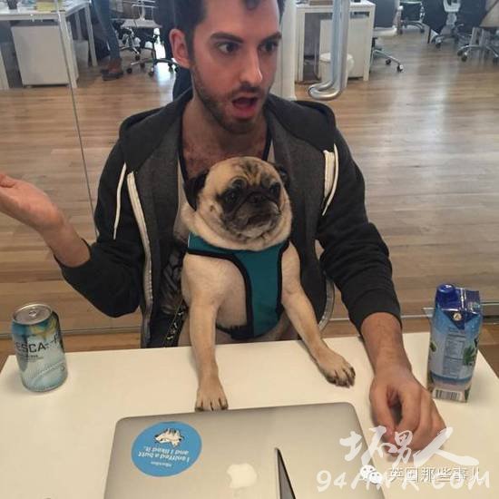 一名单身狗恋上了一条单身汪并虐狗无数的爱情故事