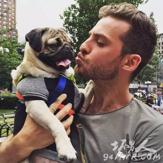 一名单身狗恋上了一条单身汪并虐狗无数的爱情故事