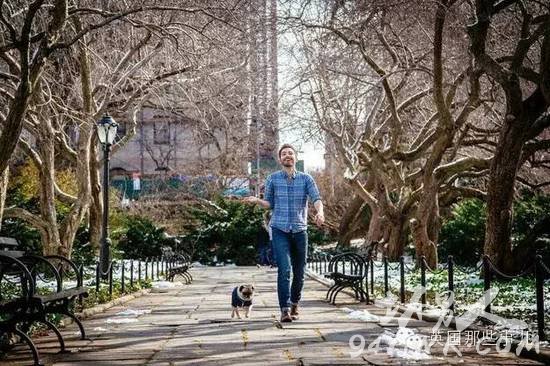 一名单身狗恋上了一条单身汪并虐狗无数的爱情故事