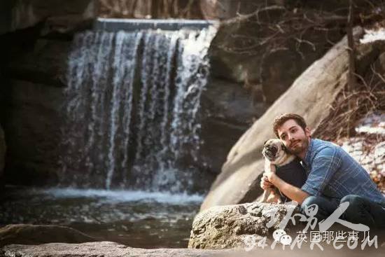 一名单身狗恋上了一条单身汪并虐狗无数的爱情故事