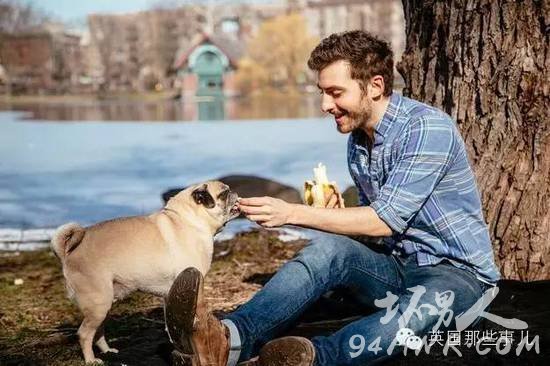 一名单身狗恋上了一条单身汪并虐狗无数的爱情故事