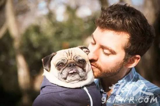 一名单身狗恋上了一条单身汪并虐狗无数的爱情故事