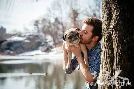 一名单身狗恋上了一条单身汪并虐狗无数的爱情故事