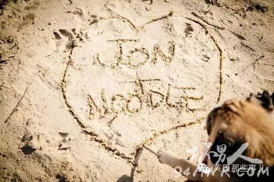 一名单身狗恋上了一条单身汪并虐狗无数的爱情故事