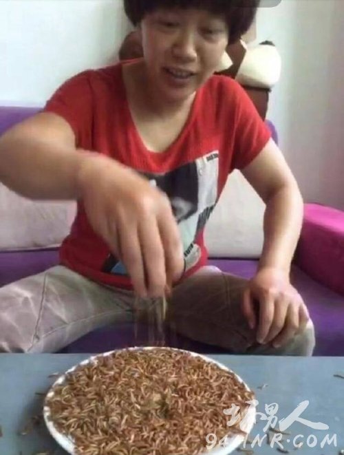 吃货凤姐