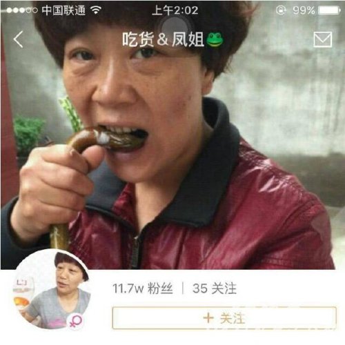 吃货凤姐