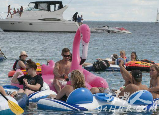 被风刮到加拿大