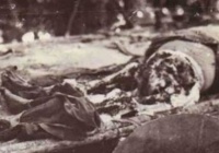 ���������������ľ��� ����������ô��ɱ��ص�