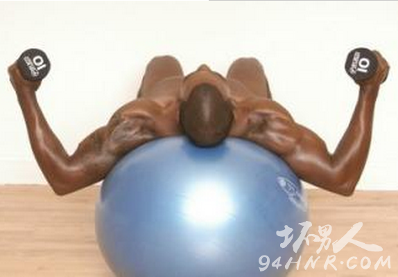 ½¡ÉíÇòС·ÉÄñ