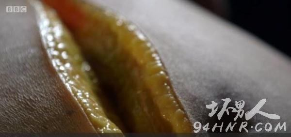 尸体解剖现场图片