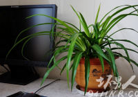 怎么防止电脑辐射 9个防止辐射的最好方法