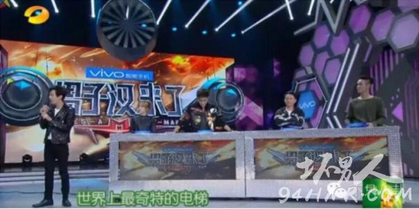 疾步骡子马是什么意思