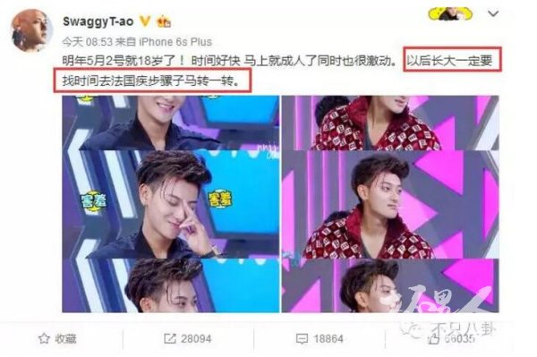 疾步骡子马是什么意思