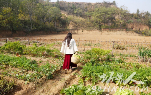 80后美女居住窑洞