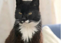 Ӣ�����L��؈27�q �ஔ�����127�q