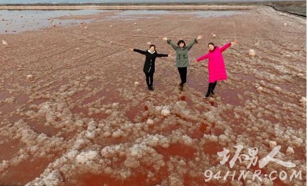 中国死海变玫瑰湖