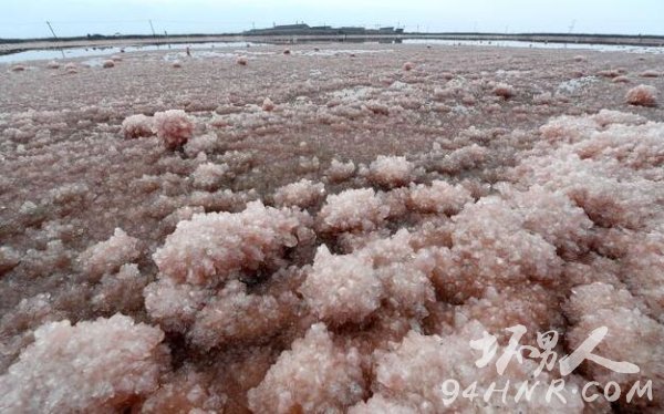 中国死海变玫瑰湖