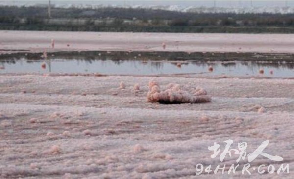 中国死海变玫瑰湖