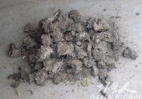 һڼʺ1 Է