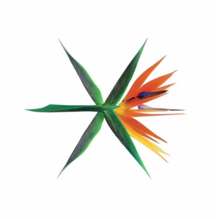 exo专辑logo
