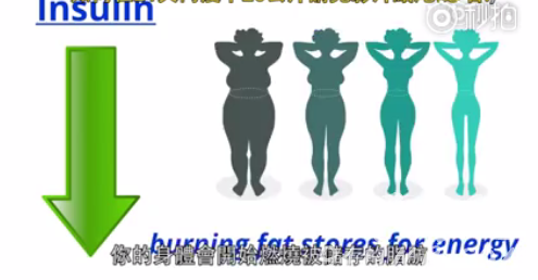 簡單的五個減肥方法