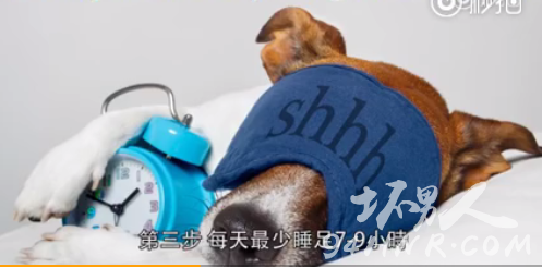 簡單的五個減肥方法