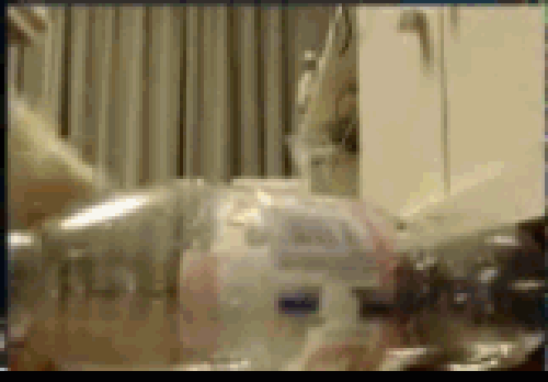 死亡宣告女友于长鑫是谁