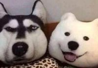 ŮĦҮϮ ʿξȻˣ
