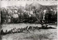 ����Ĵ��چ� ���������¼��C��������