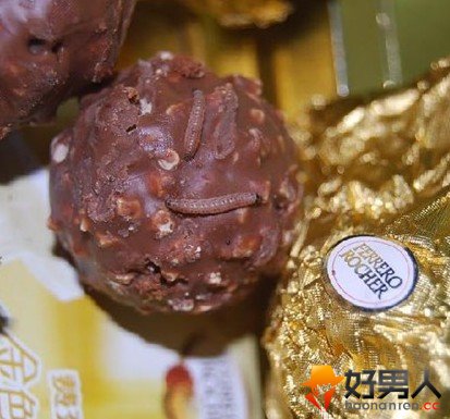 吃了费列罗才知道里面满是活蛆