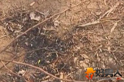 男童模仿灰太狼烤羊