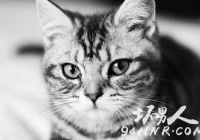 èܻꣿõĻ34꣡