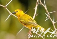 �ʢ���B� �����_100�|ֻ