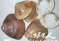 嶯 Сֻ220