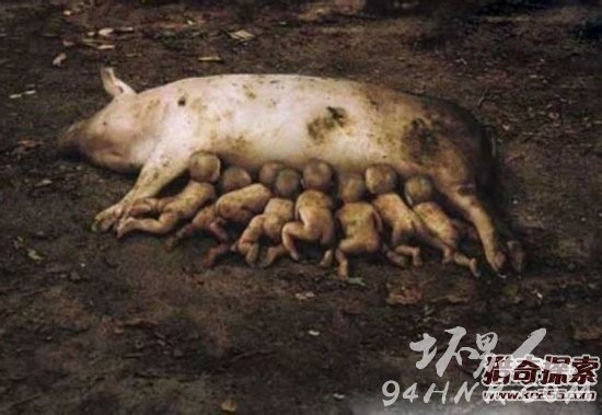 ĸµС