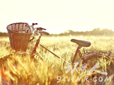 ����ľ���˵���ͳ���������Ϊ�㲻����Щ�������3