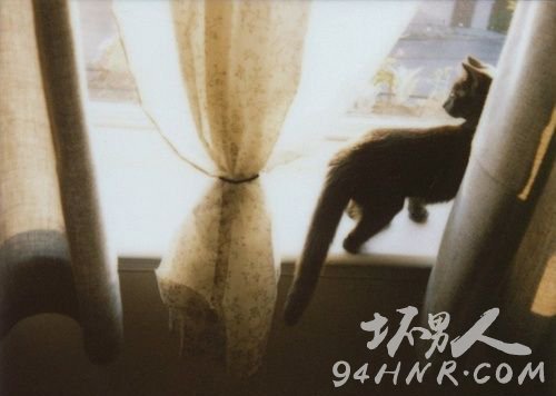 븴ϣ1