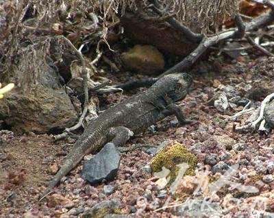 ȫ��ʮ��ʯ���֣�ǻ����λ�Ӱ���(��ͼ)