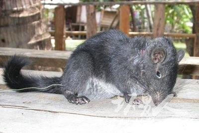 ȫ��ʮ��ʯ���֣�ǻ����λ�Ӱ���(��ͼ)