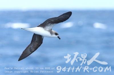 ȫ��ʮ��ʯ���֣�ǻ����λ�Ӱ���(��ͼ)