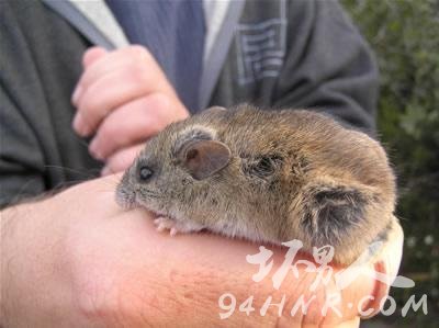 ȫ��ʮ��ʯ���֣���ɫ���