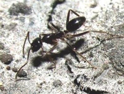 ȫ��ʮ��ʯ���֣�٪�帺��